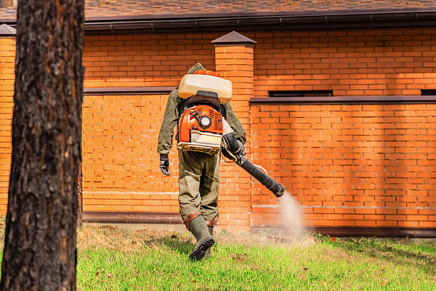 Top rated local Wasp Removal specialists in Broken Bow, NE